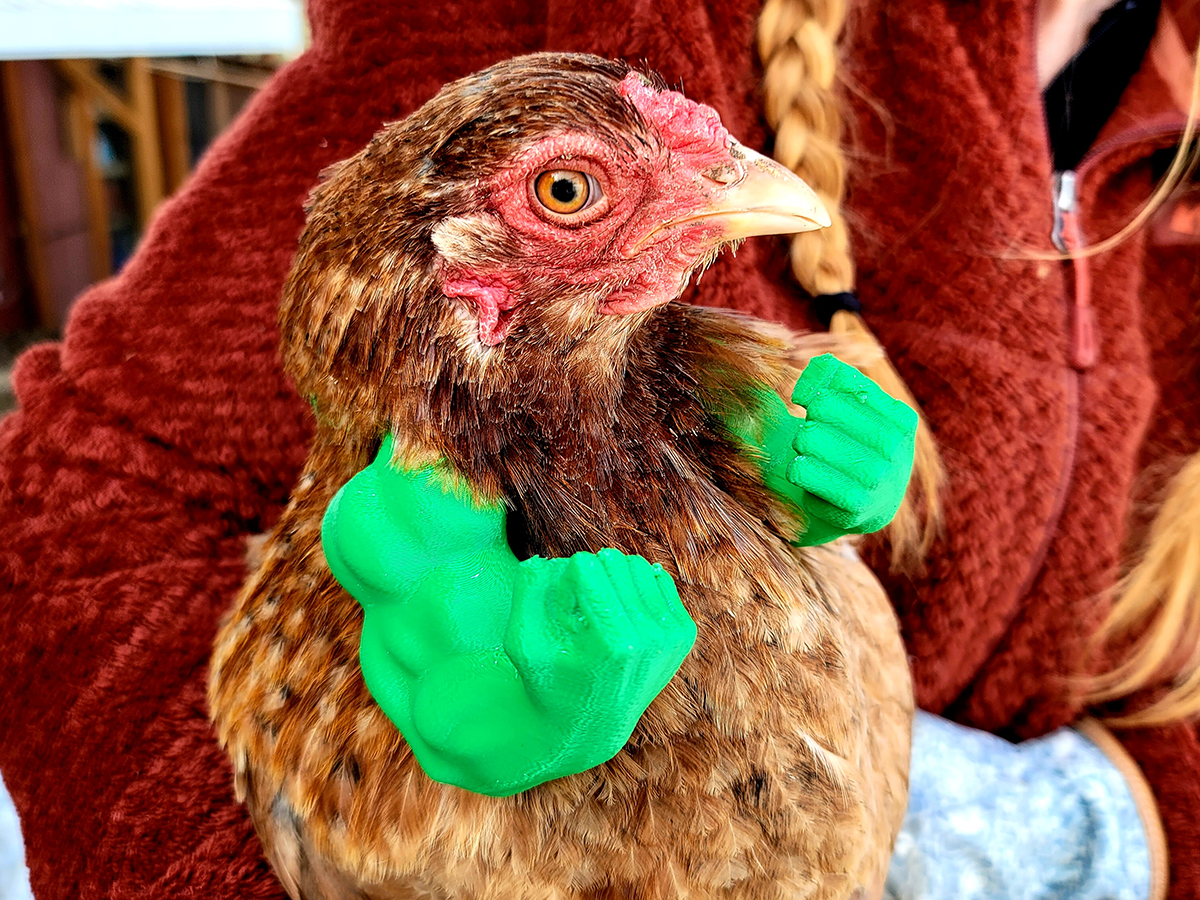 3D Printed Arms For Chickens?