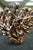 Copper Filamet™ Print and Sinter Kit - Image 7