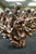 Copper Filamet™ - Image 7